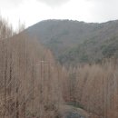 힐링(장태산) 이미지