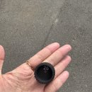 코덱스자전거 | Caudexhaus P605 팝업다녀오기, 팟까지 당첨된 머글은 나야나