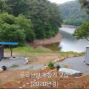 임업행정사사무소 네이버블로그
