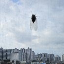 7월29일수요일서울방출석부 이미지