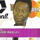 서호중학교 이미지