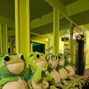 입큰개구리노래방 | ​[수원/인계동] 개구리에 반하고 이벤트에 취하는 '입큰노래타운' 방문기 🐸💚