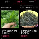 거창군 농업인회관 | 강소농 후속교육. 경영마케팅 with코로나시대. 안전과 건강이 최고인 시대. 농업과 자연이 하나인 시대...