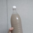 못난이꽈배기안양