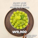 오또오떼영(빙수의숲)