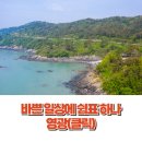 불갑사관광지 안내소 | 소도시 감성 가득한 영광 여행 | 한적한 국내 여행지 찾는다면?