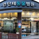 안단테동물병원