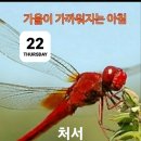 샘표 화장의 체험담 이미지