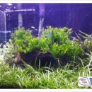 안중삼성유치원 이미지