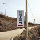 일산,파주 애견카페 멍스퀘어 애견운동장 일산점 특대 운동장 이용후기