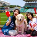 데이도그 이미지