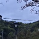 온천강변1길 네이버블로그