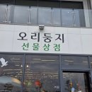 오리둥지 | 엄마랑 떠난 겨울바다 강릉여행 강릉 강문해변 / 오리둥지 선물상점 소품샵 후기 / 강릉 가볼만한곳