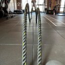 바카티오 | 안암동헬스장 바카티오PT 성북천점 위치정보