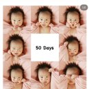 2020-229 | 대구 성장앨범 베이비파스텔 본아트, 50일,100일, 200일, 돌 촬영, 꿀팁, 내돈내산 후기