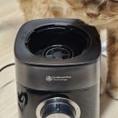 3032 | 필립스 믹서기 HR3032 유리 믹서기 세척 사용 후기