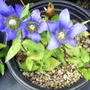 광산구-018 이미지