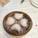 리오젠 호텔 네이버블로그