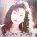 원미연 카카오 검색결과