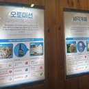 새천년카서비스 이미지