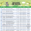 요가교실(오전반) 이미지