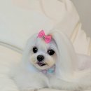 메모리멍 이미지