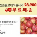 위메프/털보네 사과 9kg~11kg내외 위메프가 28,900원 이미지