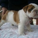 스테이써니 이미지