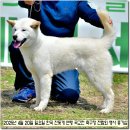 수컷 이미지