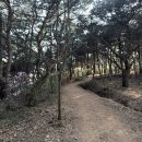 청련사 | 고려산 진달래 청련사 코스: 1,600년 역사의 고찰과 강아지 동반 30분 최단 등산로
