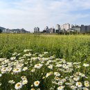 공주관광호텔INK(잉크) 이미지