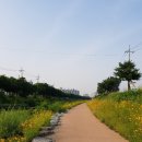 덕풍천 산책로 이미지