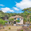 강릉애 진심 이미지