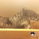 호텔구구 이미지