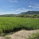 삼산면-4 이미지