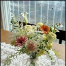 나비공간 이미지