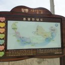 울산시 북구 강동 사랑길 4구간(산책길 4코스) 이미지