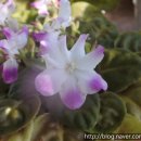 인우행정사사무소 이미지