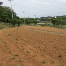 정촌면-5 이미지