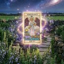 (주)슈타인바이오 이미지