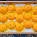 마소물로 이미지