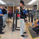 쓰담쓰담 이미지