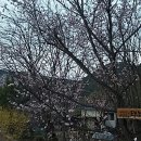 원농장1 이미지