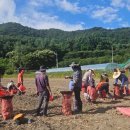 고령군농업기술센터 이미지
