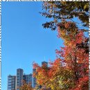 하나행정사사무소 이미지