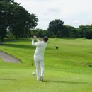 이동골프클럽 이미지