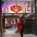 분당-판교-202 이미지