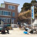 대진항물회