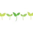 세교점쿡1015 이미지