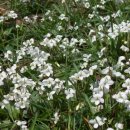 서울신기초등학교 이미지